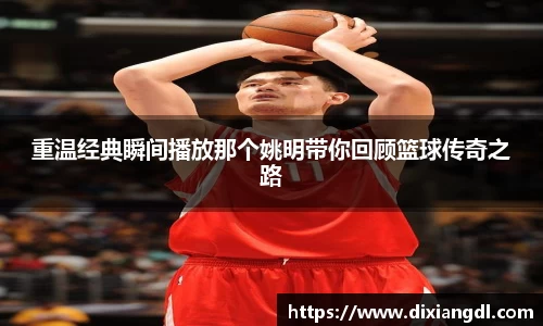 重温经典瞬间播放那个姚明带你回顾篮球传奇之路