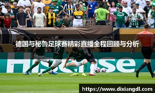 德国与秘鲁足球赛精彩直播全程回顾与分析