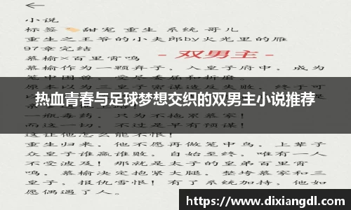 热血青春与足球梦想交织的双男主小说推荐